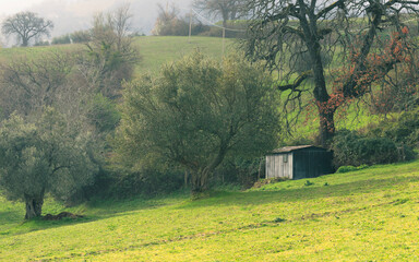 Fototapety na wymiar - Fototapeta24.pl