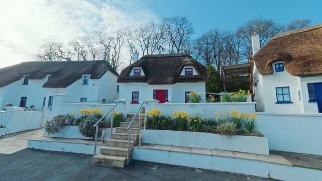 Spring arrives in Dunmore East Waterford thatched holiday homes in lower village epic Ireland Locations