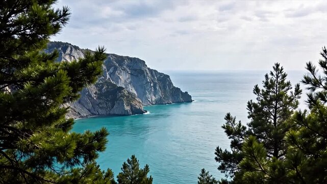 Coastal cliff and pine trees