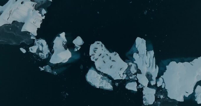 Stunning drone footage captures massive white ice floes and icebergs floating in deep dark blue Arctic waters. The aerial perspective reveals the dramatic contrast between pristine ice formations and