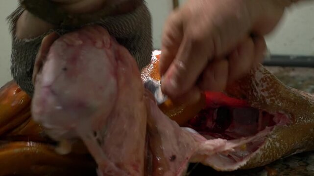 Close up of a fishmonger removing guts from a large red fish using a safety metal mesh glove. Professional seafood preparation in a commercial kitchen. Concept of food industry and safety.