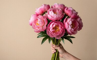 Fototapeta premium Hand holds pink peonies against a soft beige background.