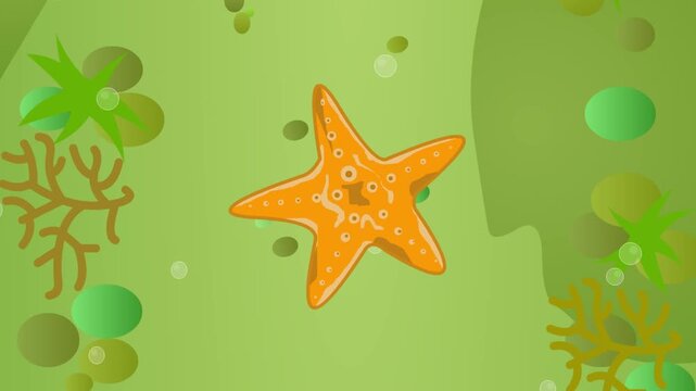 Cartoon style animation with a starfish moving on the seabed, water, art, 2D, animal.