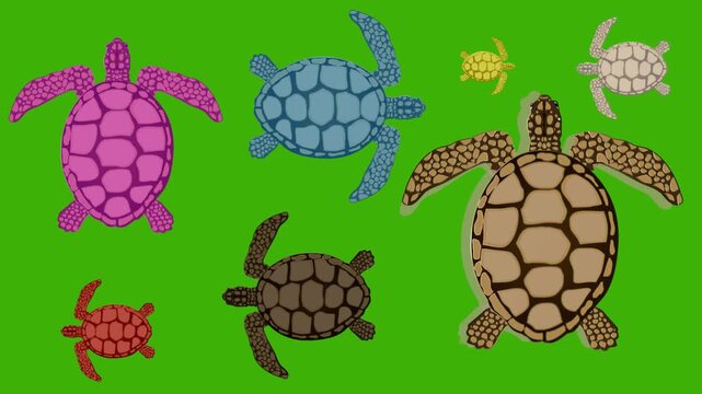 Cartoon style animation with several sea turtles moving on a green background, water, art, 2D, animal.