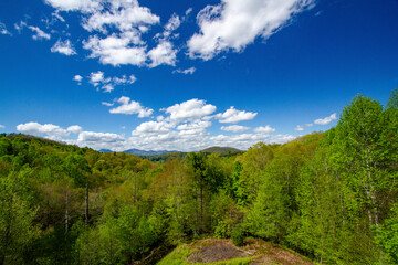 Fototapeta premium Blue sky over the Blue Ridge
