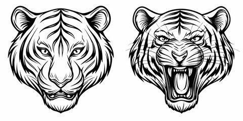 Obraz premium Tiger Head Calm and Roaring Front View Monochrome Line Art