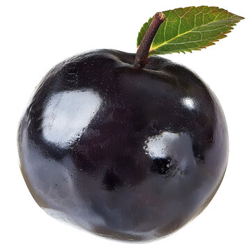 Single dark plum with stem and leaf, glossy surface reflecting light, isolated on transparent background