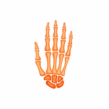 Orange skeletal hand illustration on a white background