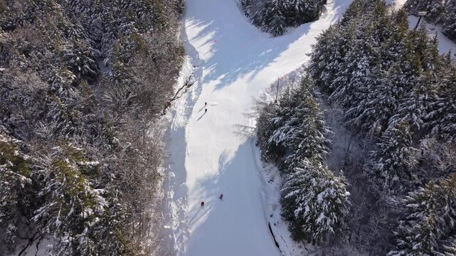 Aerial view: skiers descend groomed runs and powder bowls at Whistler Blackcomb. Sunny winter landscape in Nova Scotia, Canada, vibrant alpine skiing scene 4K.