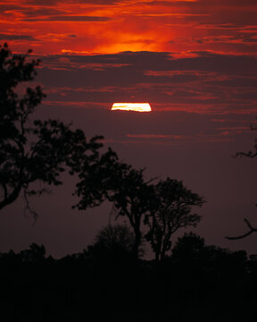 safari sunset sunrise