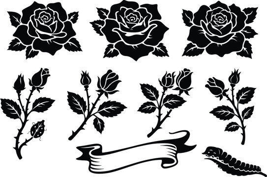 Rose and Floral Vector Illustration &ndash; Roses, Buds, Leaves, and Decorative Elements
