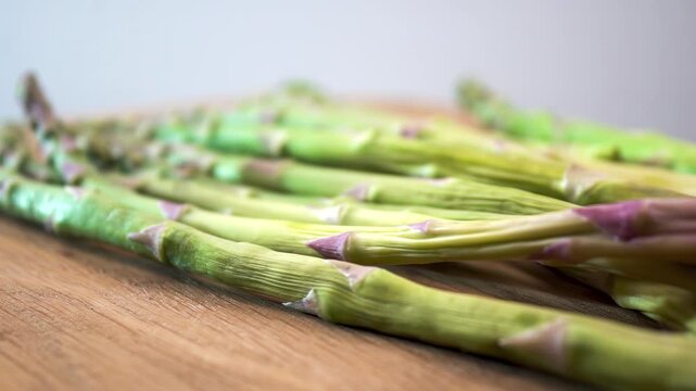 Morphological characteristics of Asparagus officinalis, closed terminal buds and triangular scales