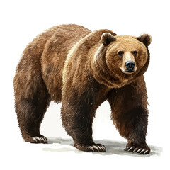 Fototapeta premium watercolor vector of Brown Bear, isolated on a white background.