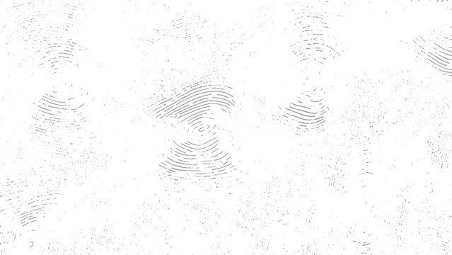 Gray fingerprint marks on white background with smudges and smears forensic texture
