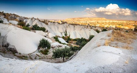 Cappadocia Turkey Valley Rock Formations Trees