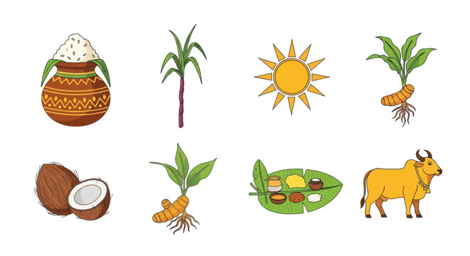 Pongal Festival Icons: Pot, Sugarcane, Sun, Turmeric, Coconut, Ox, Feast