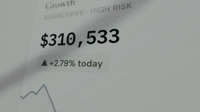 Financial summary highlighting a growth investment portfolio categorized as Aggressive High Risk