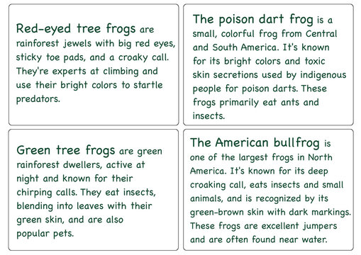 Flashcards Four document