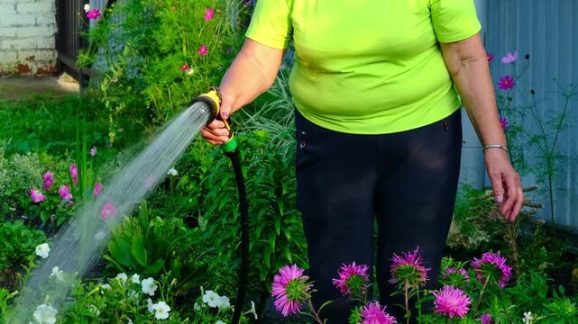 Documentary style view of a gardener irrigating a backyard patch, strong sunlight and clear lines creating a simple rural mood. Water mindful habits protect gardens and reduce household bills.