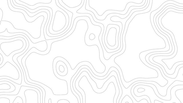 modern seamless geometric topographic dynamic lines motion design with curved black lines.