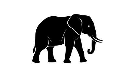 Obraz premium Black Elephant Silhouette Walking.