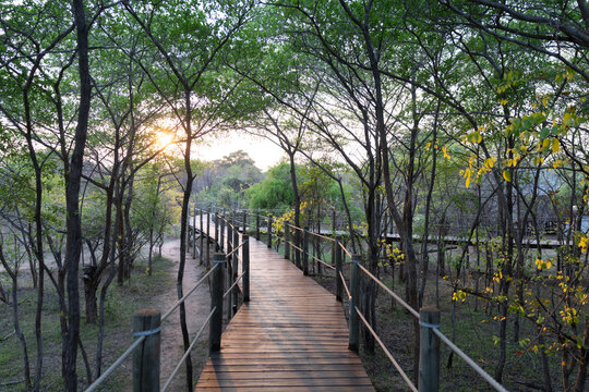 walking path