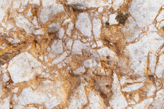 Close-up of a complex natural stone texture with organic relief. Monochromatic gray tones highlight coral-like mineral deposits, porous structures, and deep shadows