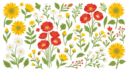 Obraz premium Set of hand drawn floral elements with sunflowers poppies and daisies