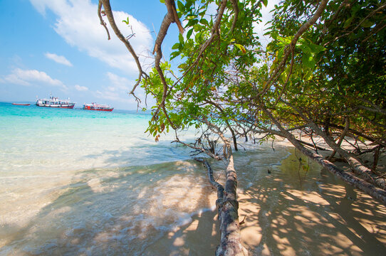 Landscape of Jolly Buoy Island, Andaman and Nicobar, India.