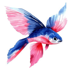 Fototapeta premium watercolor of Flying Fish, vector, isolated on a white background.