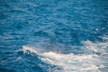 Fototapeta premium Ocean wave water background, Abstract blue sea water.