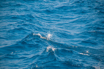 Fototapeta premium dark ocean water. sea ​​water pattern, natural composition of ripples on the water. texture of foam in water