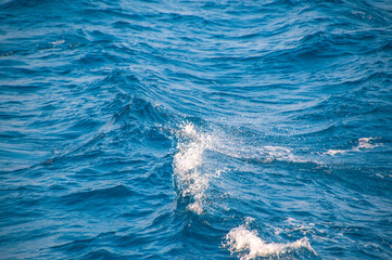 Fototapeta premium dark ocean water. sea ​​water pattern, natural composition of ripples on the water. texture of foam in water