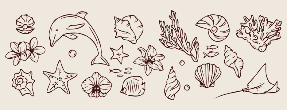 ea shells coral, marine nature sketches, ocean floor doodles, hand drawn beach elements, nautical texture illustration, summer sea graphics, coastal life sketches