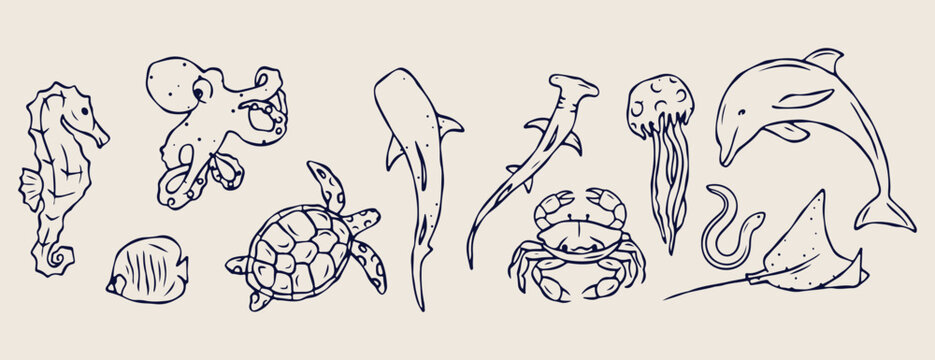 Ocean life creatures, shark and turtle sketches, marine animal doodles, hand drawn aquatic icons, underwater nature illustration, sea world graphics, nautical animal sketches
