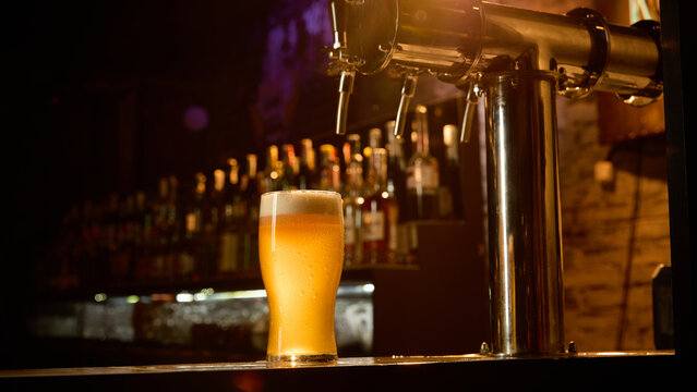 Fresh draft beer glass on bar counter with soft foam in cozy pub interior. Concept of drink menu asset, product presentation, beverage promotion, bar branding visual, and alcohol advertising.