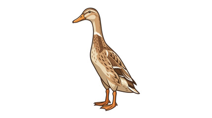 duck on a white background © Mimo95