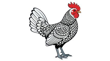 bantam isolated on white background © Mimo95