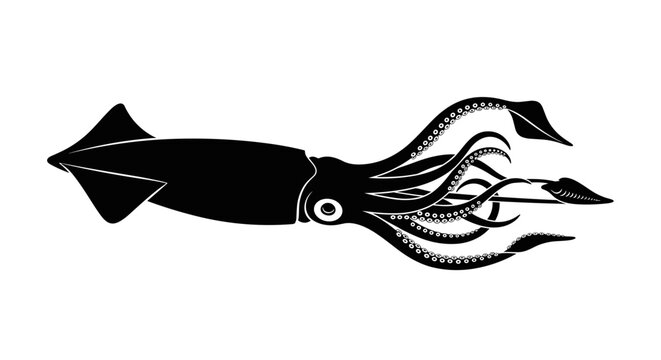Black squid side view illustration 1.