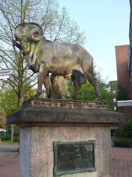 Der Wolle-Widder in Hannover-D&ouml;hren