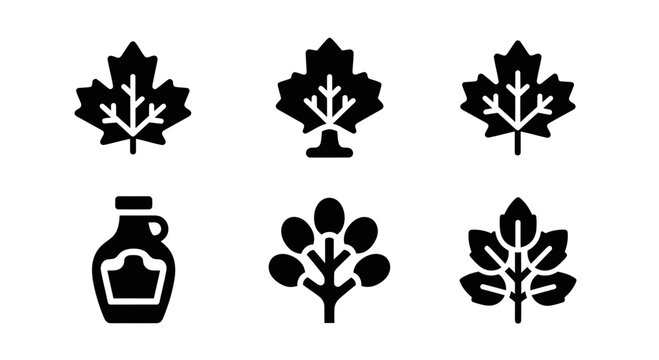 Maple Leaf Icons: Syrup Bottle, Tree, and Autumn Foliage Collection