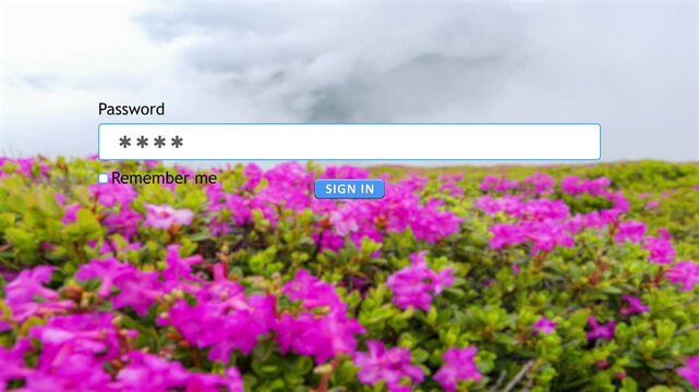 User types a password into the form box for a website on a computer. The action shows the process of signing in to access online content.