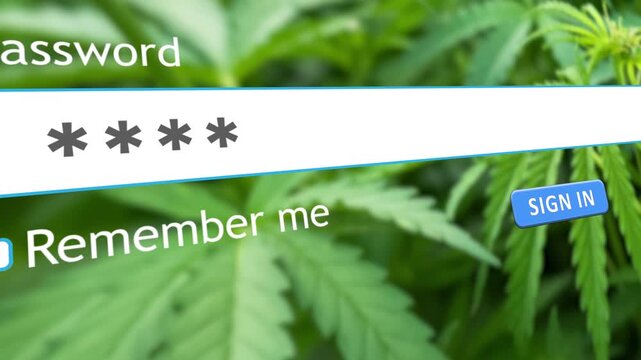 A user types a password into a website form box on a computer while a hemp plant image shows in the background. The form includes options to sign in and remember details.