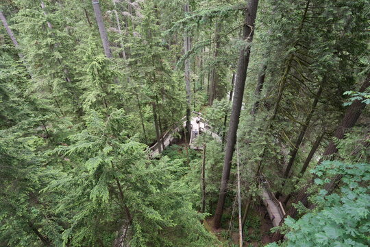 Capilano