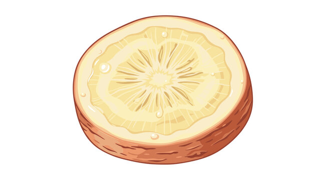 Detailed cross-section illustration of a fresh mooli radish revealing its fibrous texture, light yellow interior, and outer brown-red skin.