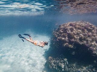 Obraz premium Underwater photo of free diver swimming past large coral reef in clear blue water, Sharm El-Sheikh, Egypt.