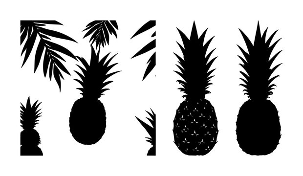 Pineapple set with minimalist tropical silhouette and bold line art featuring pineapple, tropical leaves, fruit illustration with vector graphics and design