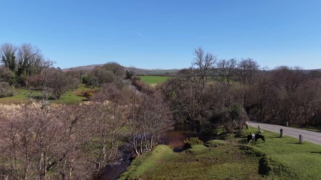 Little stream with ponies grazing with tors on the horizon