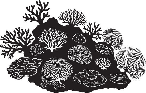 Coral reef illustration with various corals and sea fans on rocky ocean floor formation  marine life ecosystem