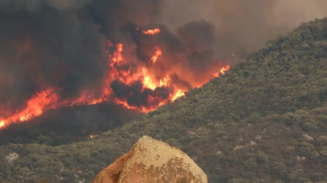 Wildfire raging on mountainside with thick smoke billowing into sky